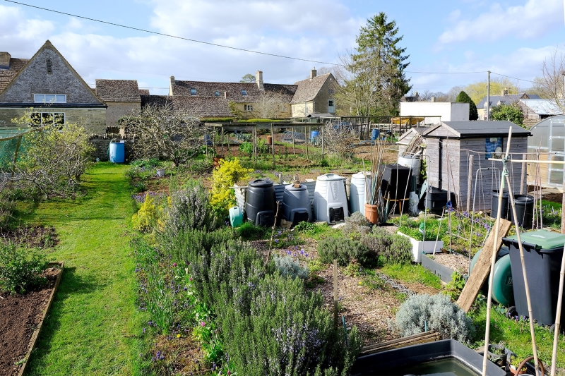 The Allotments